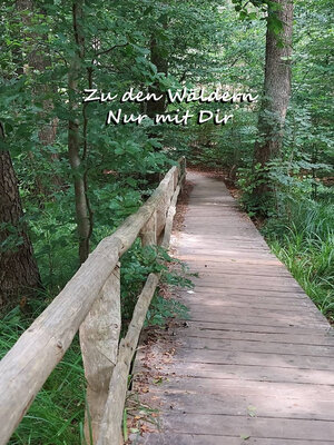 cover image of Zu den Wäldern- nur mit dir